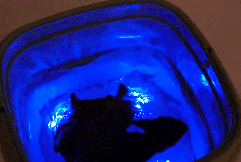 Portable Mini Washing Machine - Big Capacity, Spinning Dry