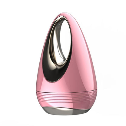 Facial Beauty Instrument